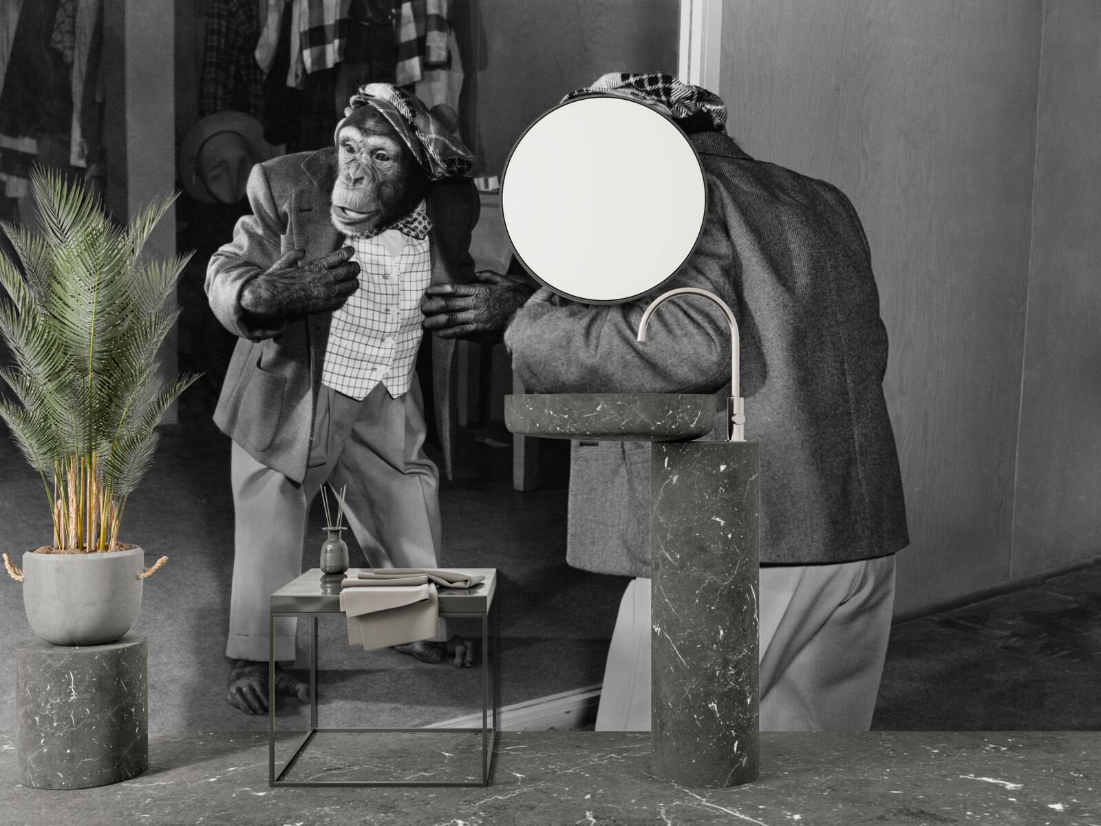 Fototapet maimuță în haine care se uită în oglindă