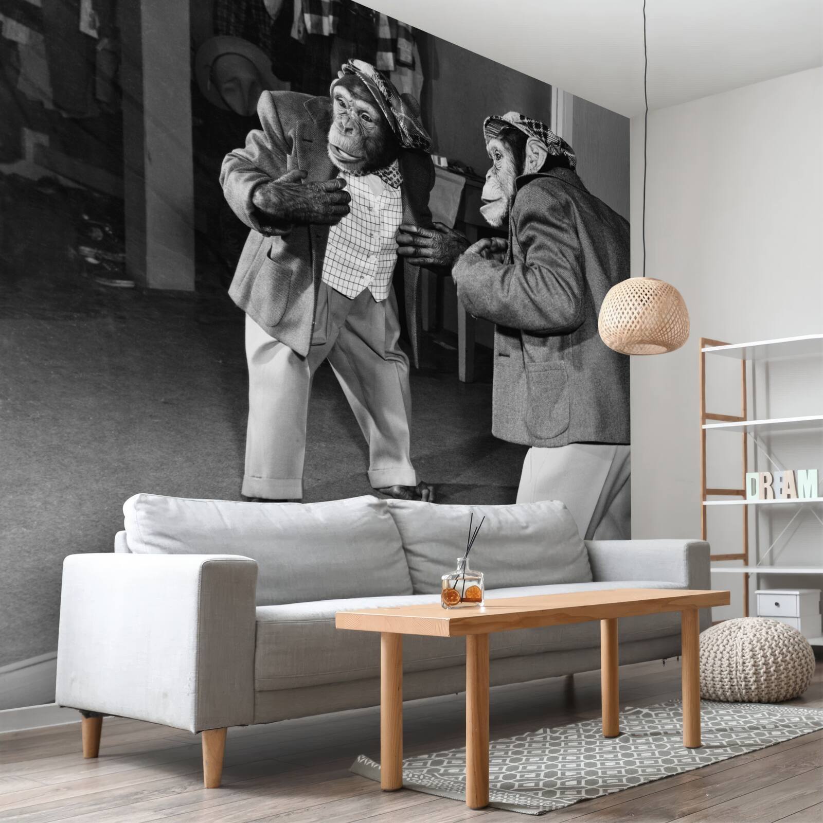 Fototapet maimuță în haine care se uită în oglindă