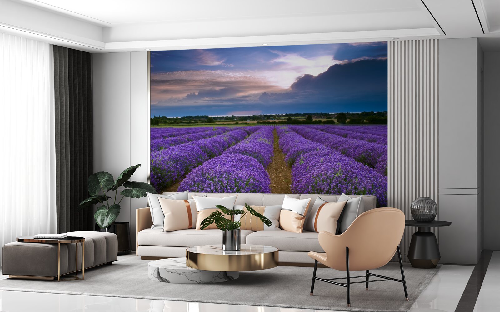 Fototapet tufe parfumate de lavandă cresc în câmp