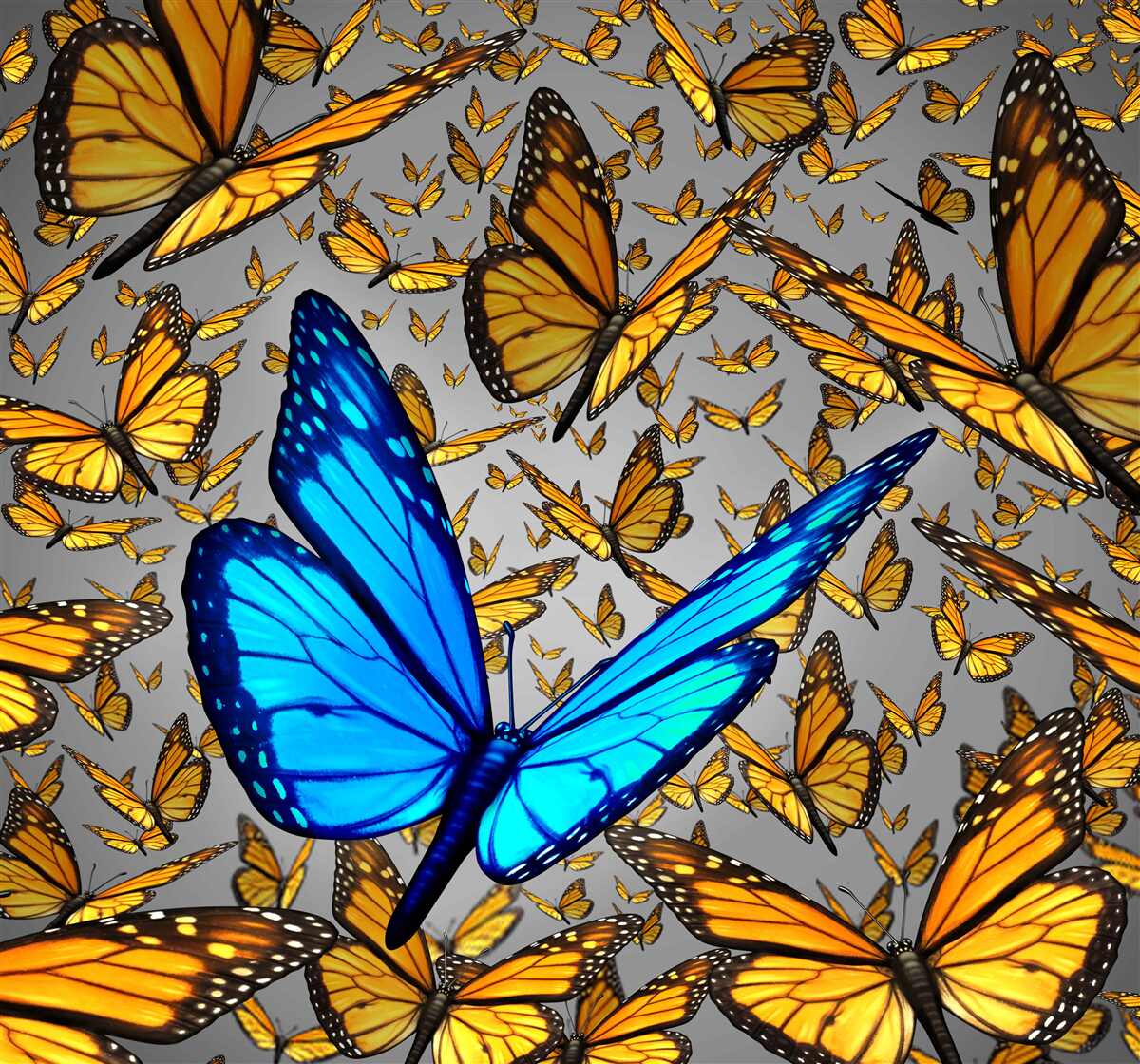 Fototapet fluturele albastru se distinge clar de cele galbene