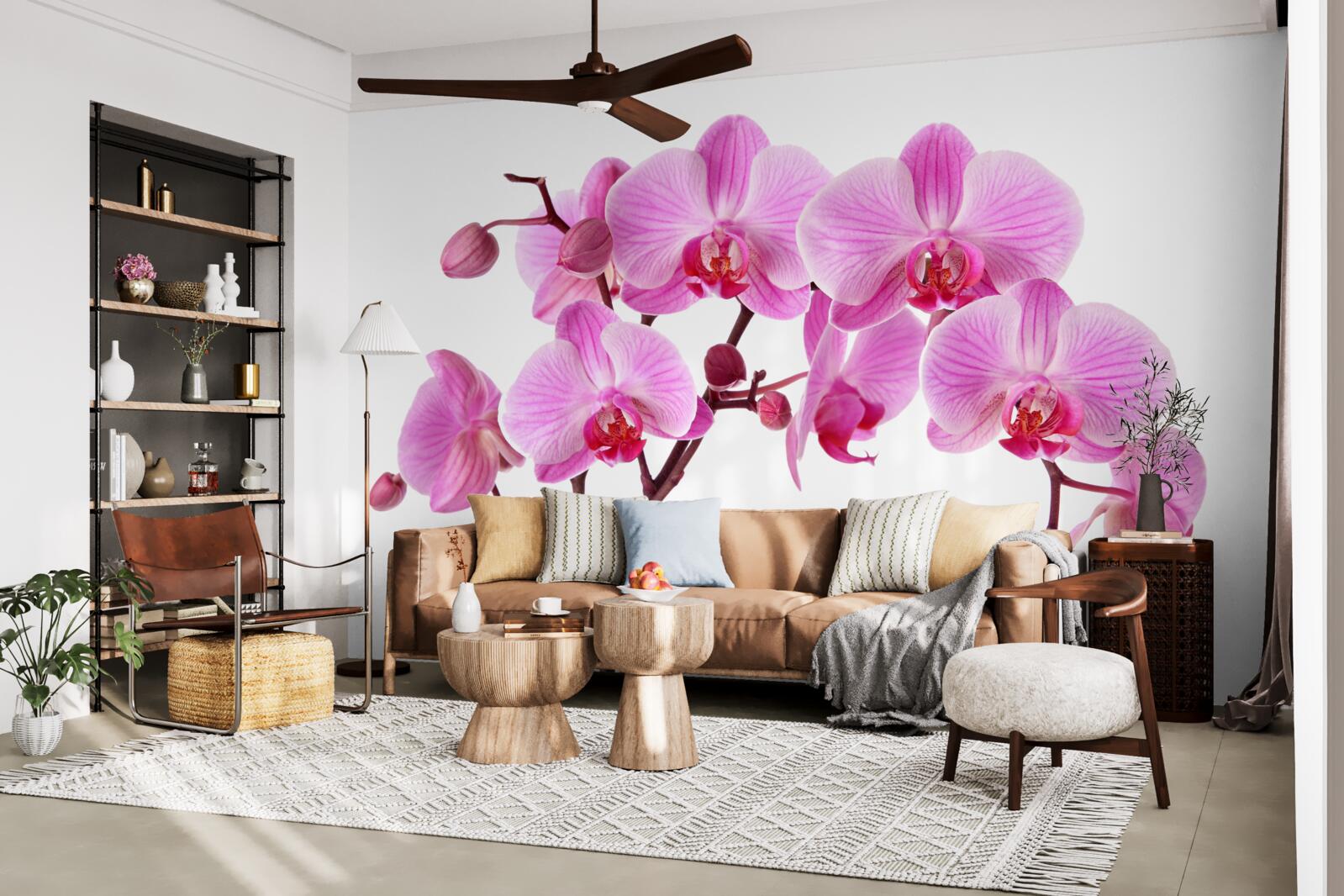 Fototapet crin roz pe o ramură pe un fundal alb