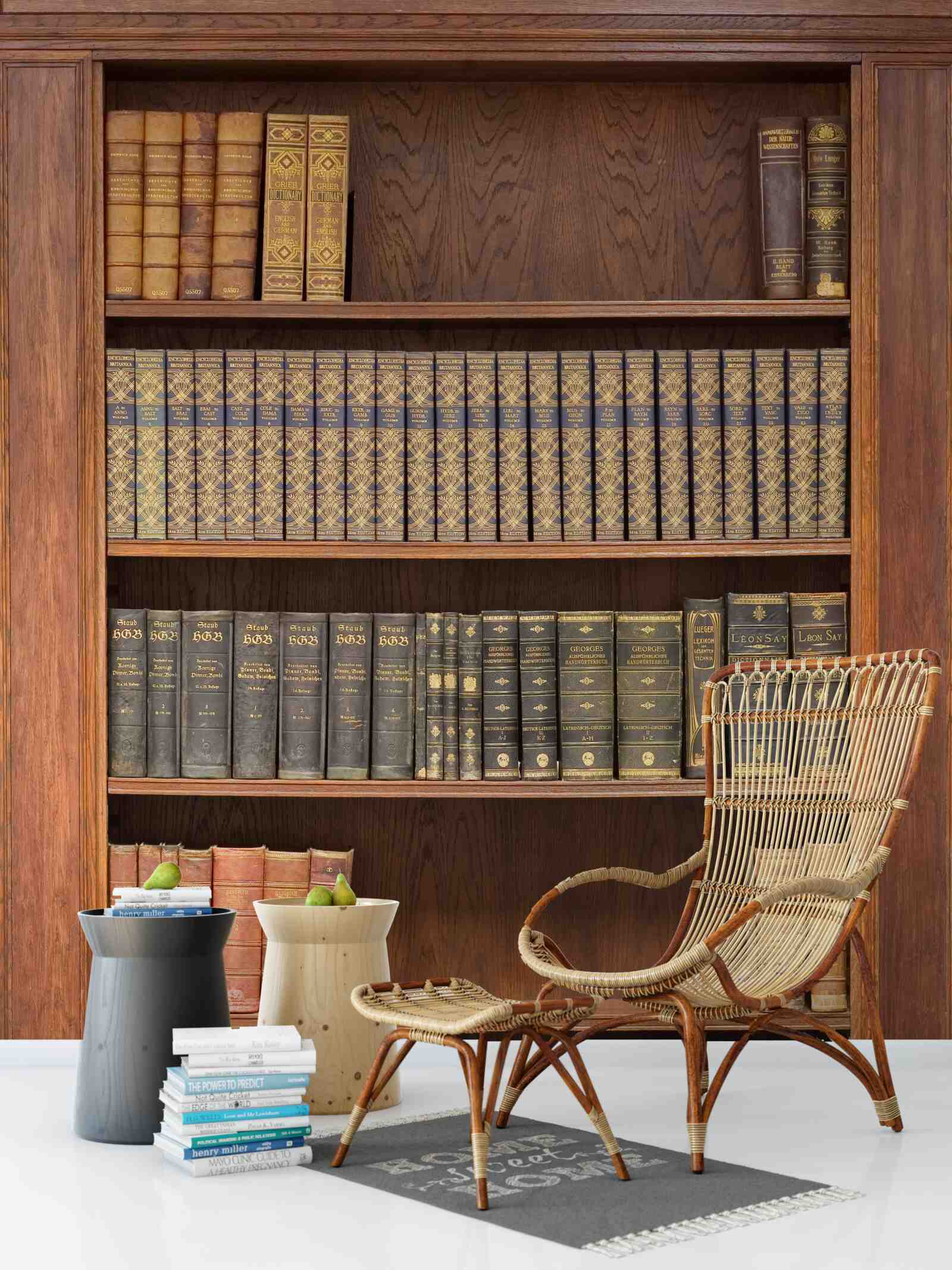 Fototapet un raft plin cu diverse cărți