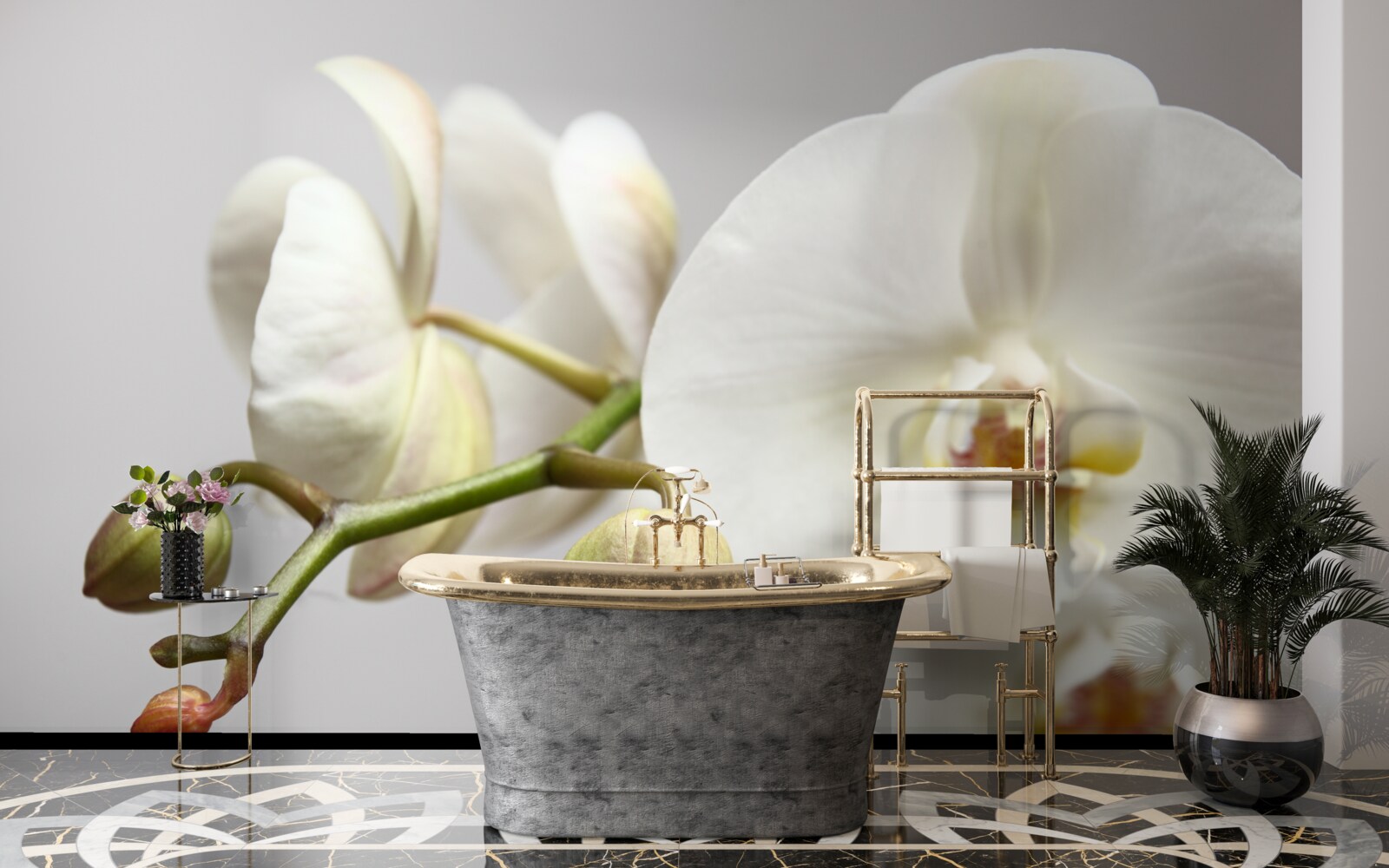 Fototapet ramură de orhidee albă cu flori înflorite și muguri nedezvoltați