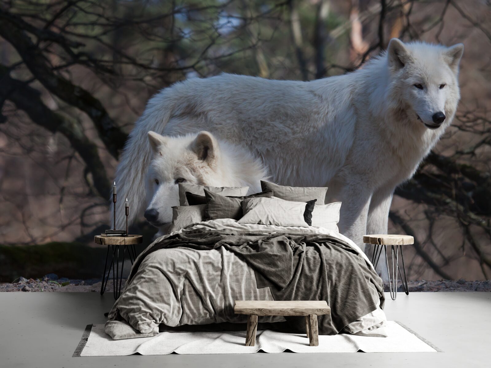 Fototapet lupii devin albi într-o pădure acoperită cu frunze căzute