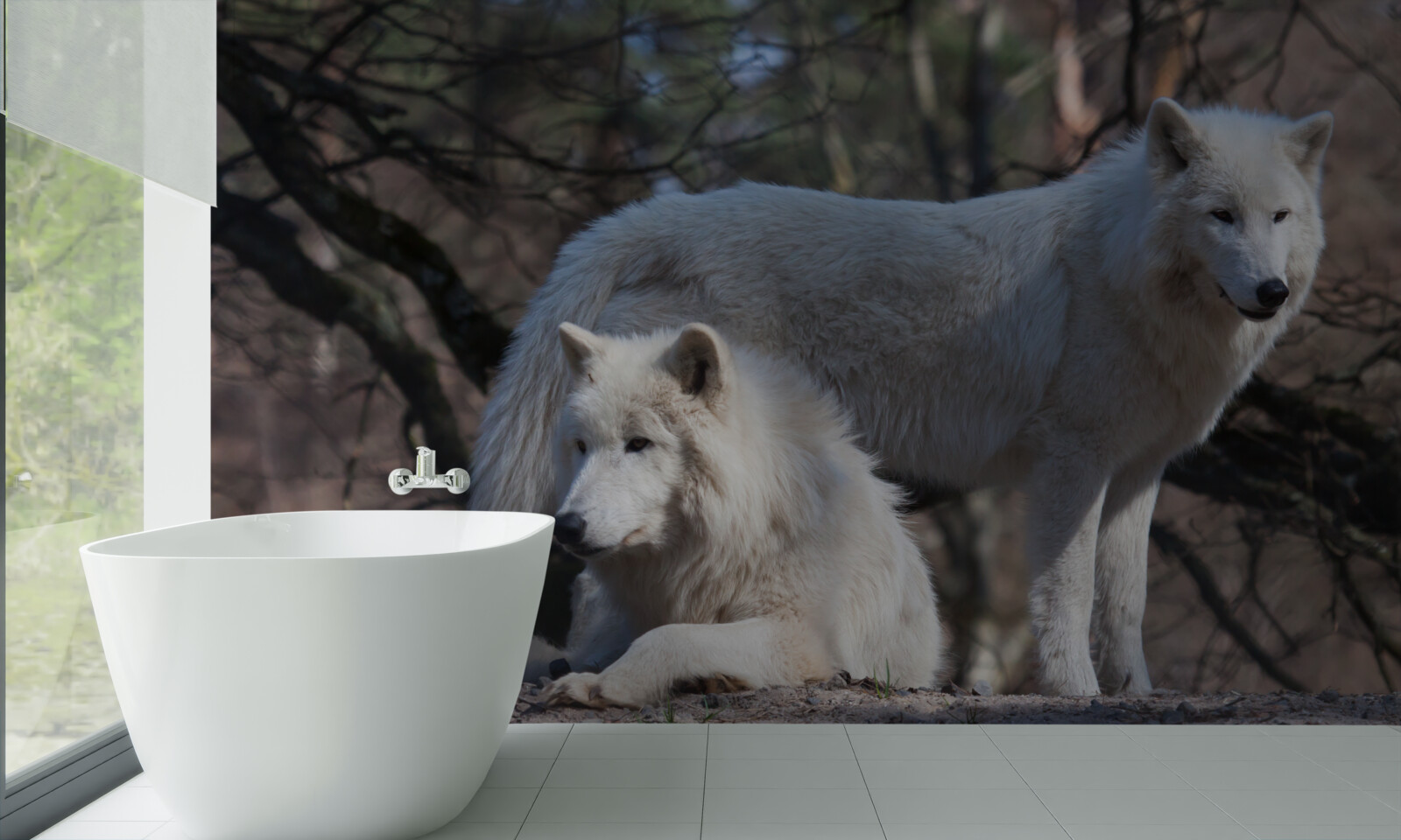 Fototapet lupii devin albi într-o pădure acoperită cu frunze căzute