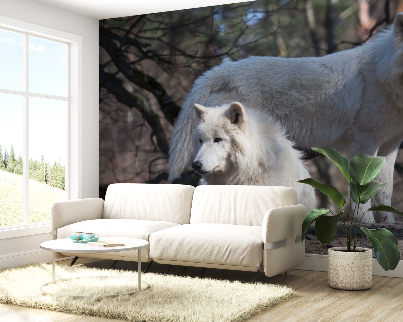 Fototapet lupii devin albi într-o pădure acoperită cu frunze căzute