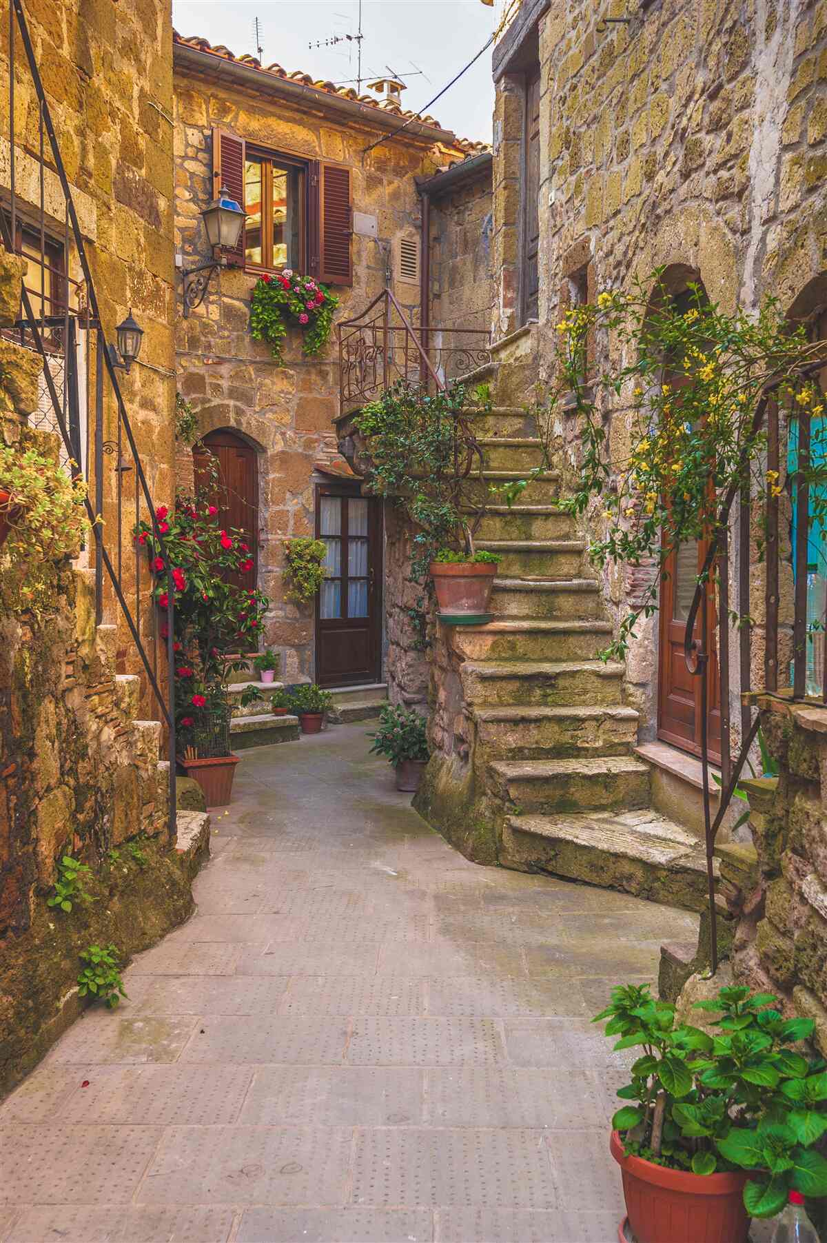 Fototapet scara decorată cu flori din curtea veche