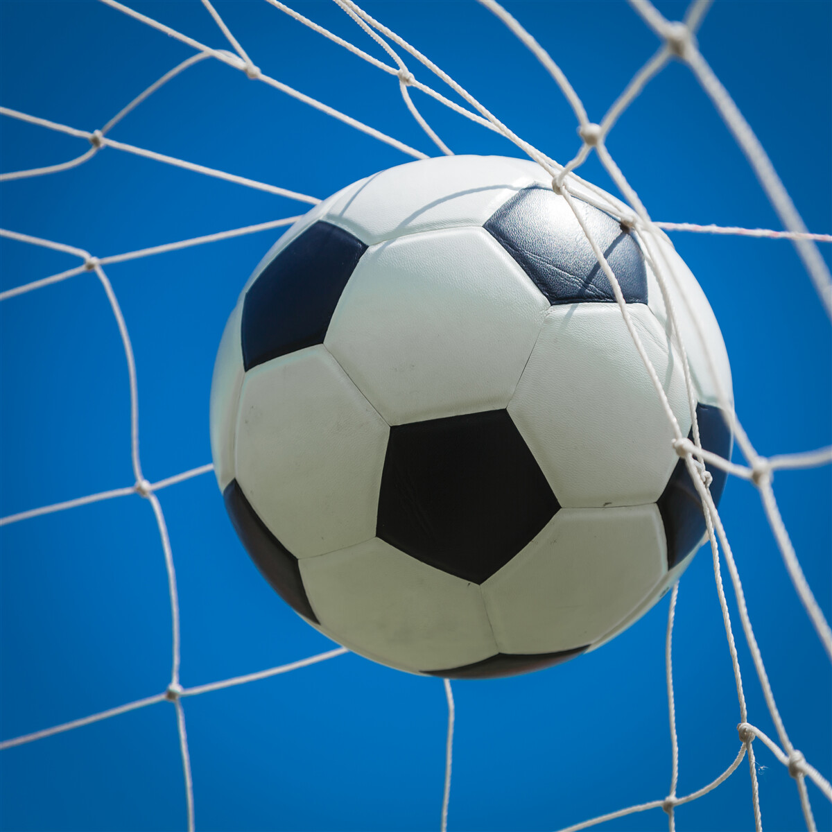 Fototapet minge în poartă