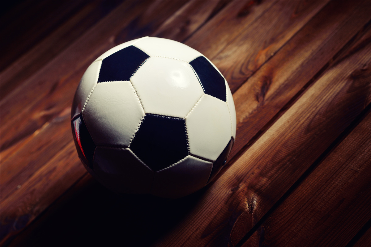 Fototapet fotbal pe o ramură de copac