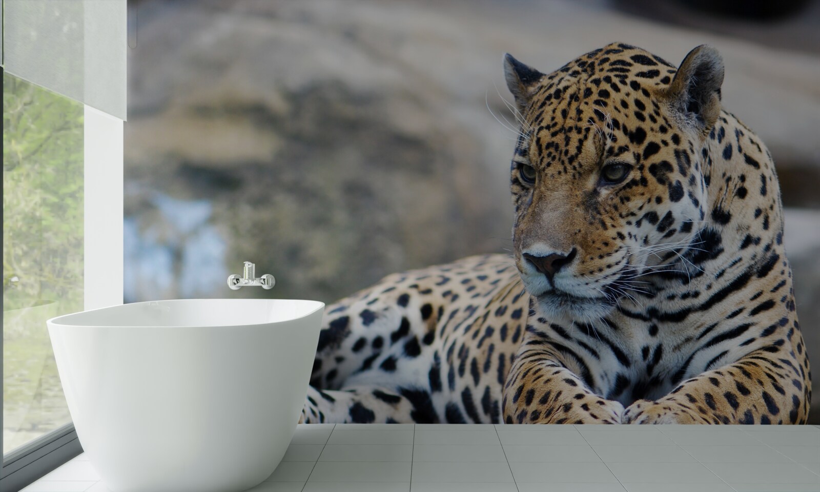 Fototapet leopardul se relaxează pe suprafețe de lemn