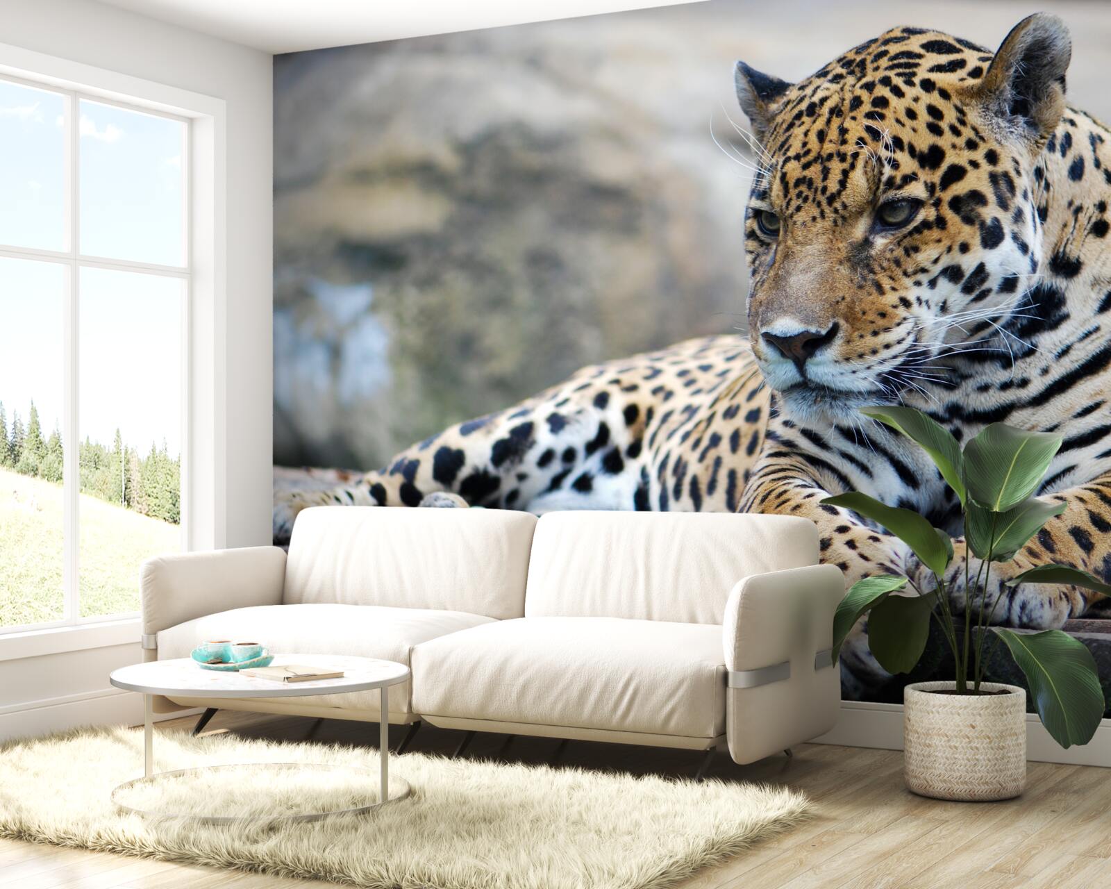 Fototapet leopardul se relaxează pe suprafețe de lemn