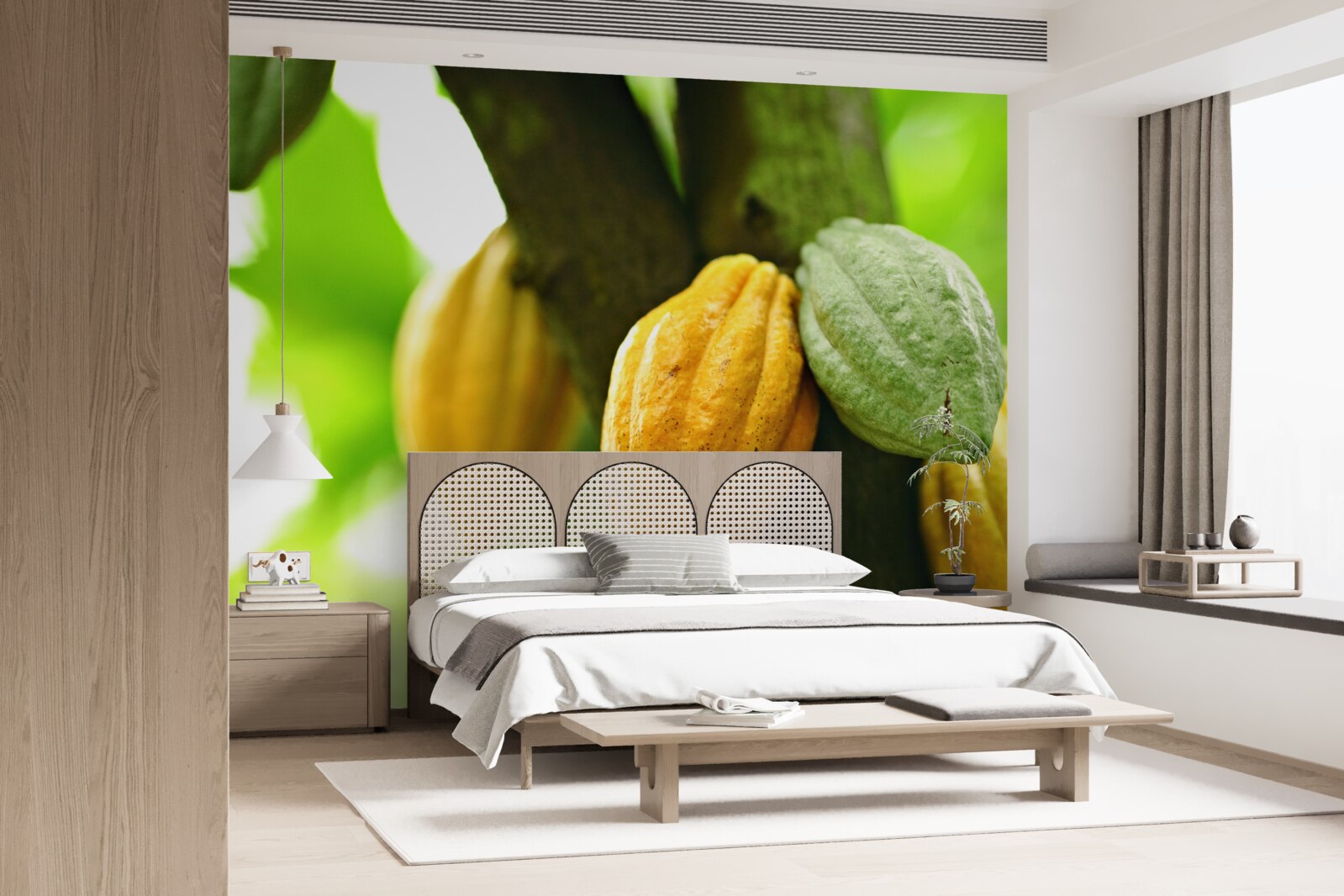 Fototapet boabe de cacao coapte pe copac