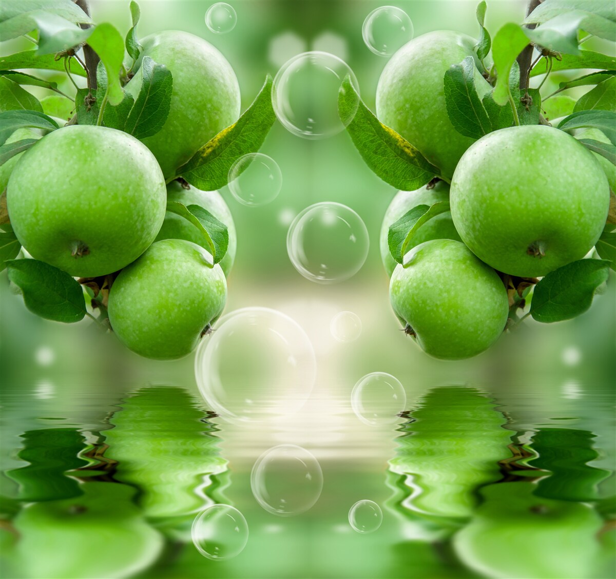 Fototapet mere verzi suculente reflecție în apă