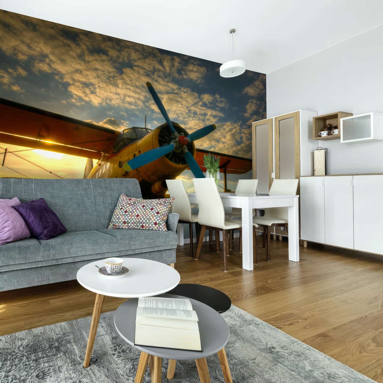 Fototapet pe câmp există un avion de epocă cu elice