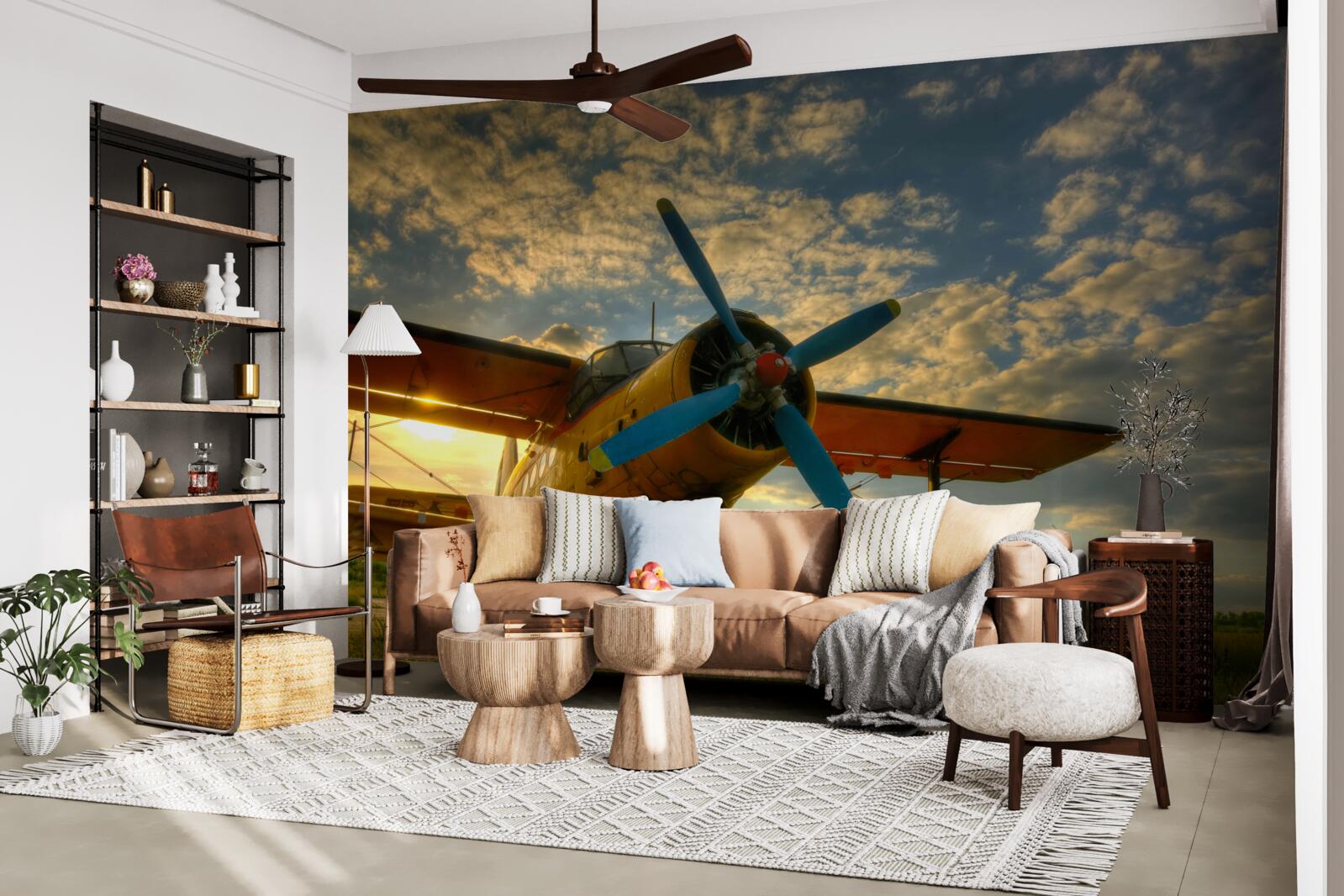 Fototapet pe câmp există un avion de epocă cu elice