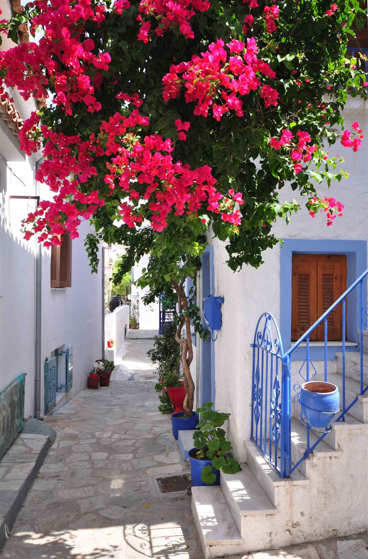 Fototapet în Grecia florile roșii cresc lângă casele albe