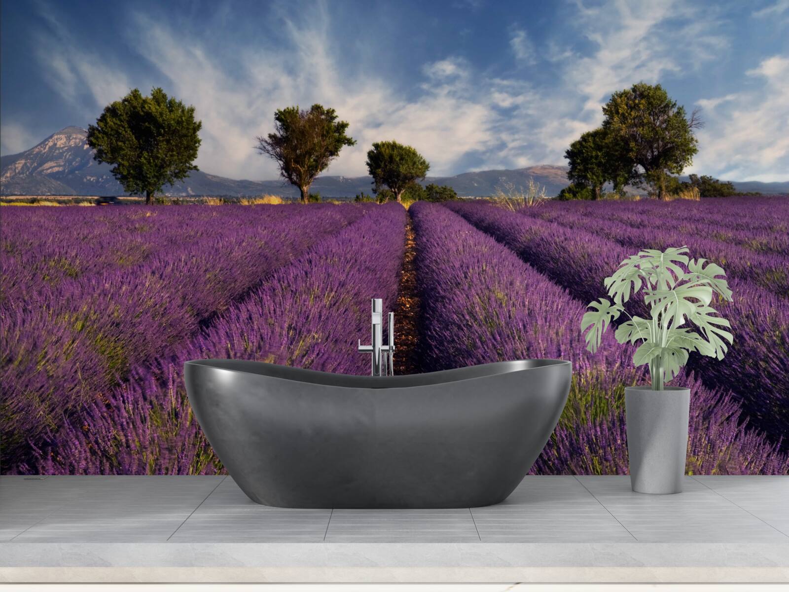 Fototapet câmpuri parfumate de lavandă