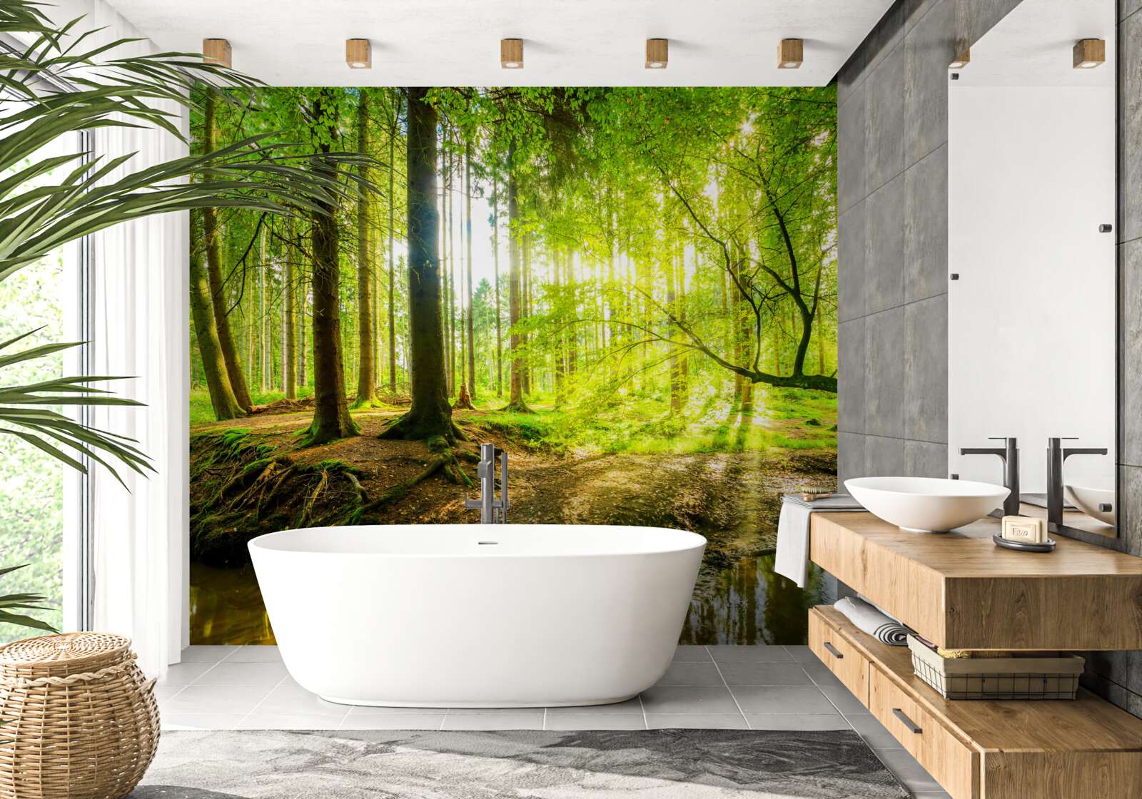 Fototapet Razele soarelui trezesc o pădure adormită