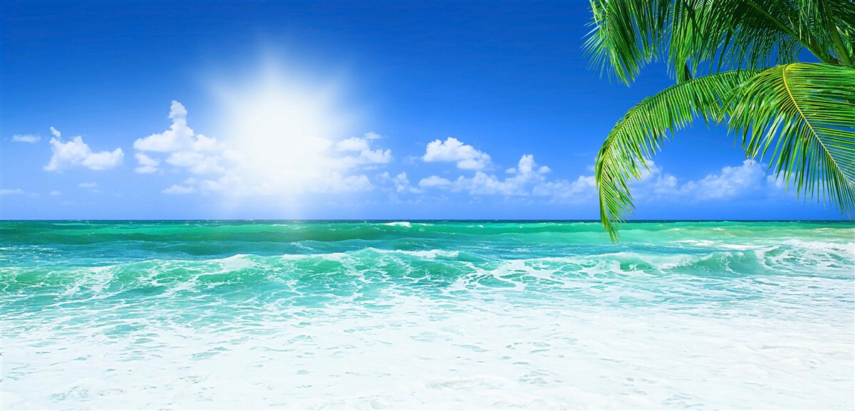 Fototapet maree tropicală înaltă în timpul zilei