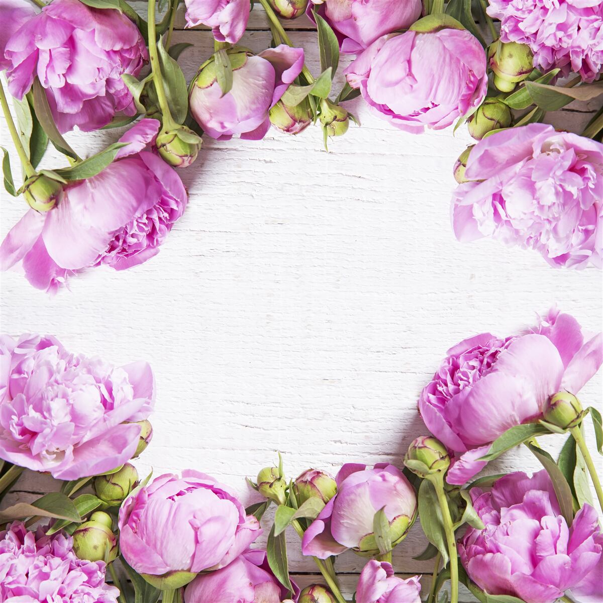 Fototapet flori mov în decor