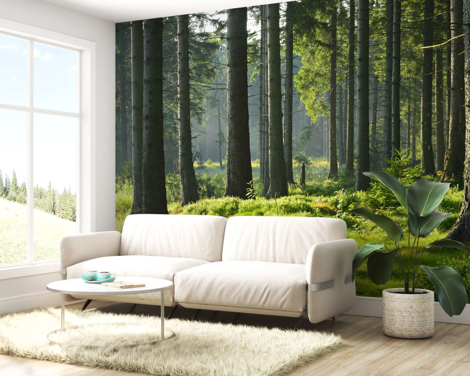 Fototapet copaci înalți și bătrâni și mușchi verde