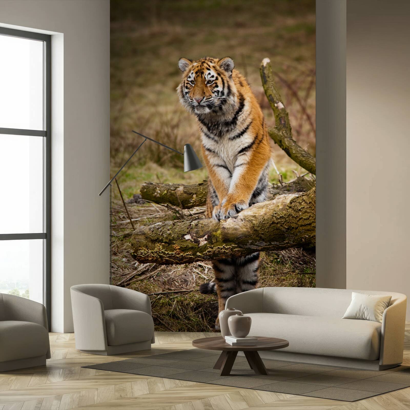 Fototapet tigrul stă pe o creangă și așteaptă prada