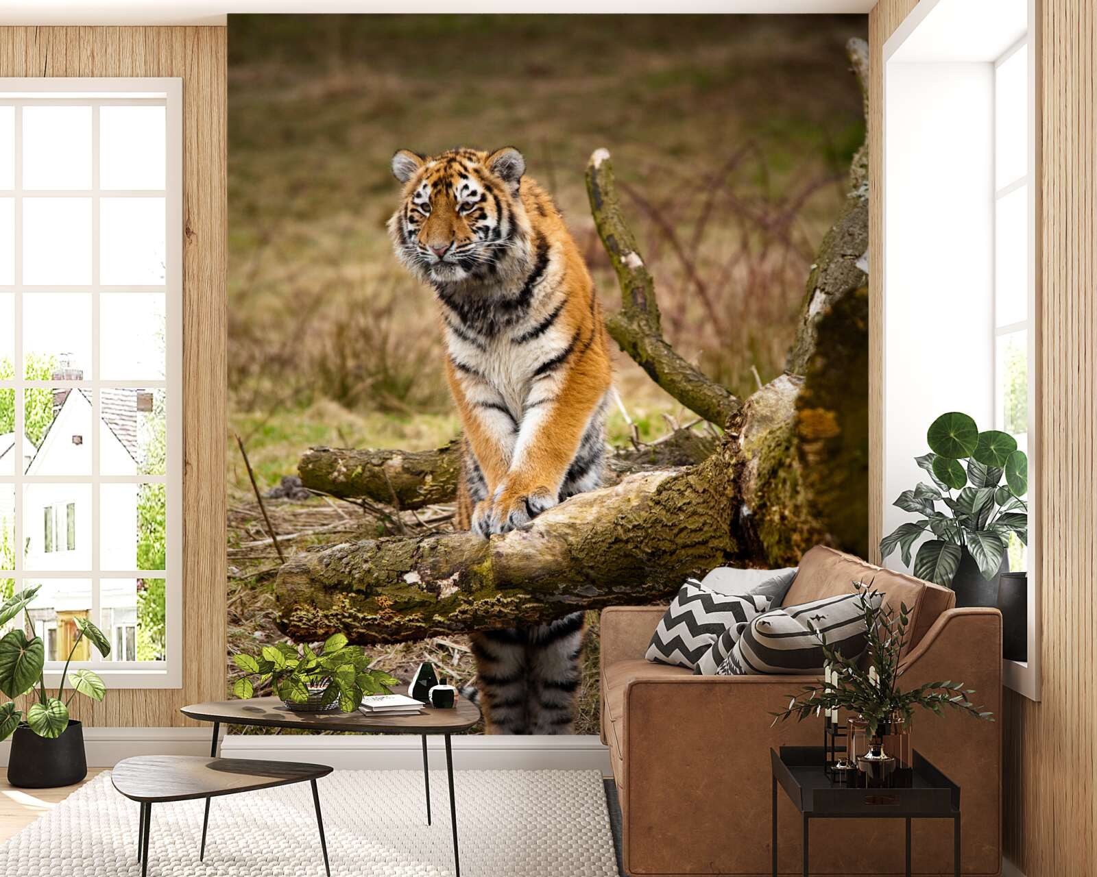 Fototapet tigrul stă pe o creangă și așteaptă prada