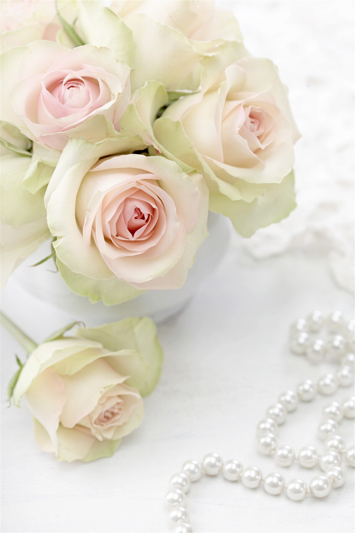 Fototapet compoziție de trandafiri roz pal delicat și perle