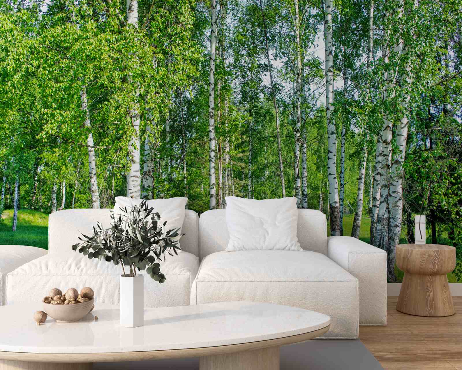 Fototapet mesteceni cu frunze verzi cresc în pădurea de vară