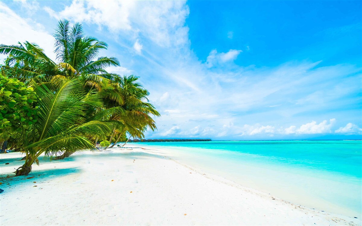 Fototapet țărmuri nisipoase și apă turcoaz a oceanului