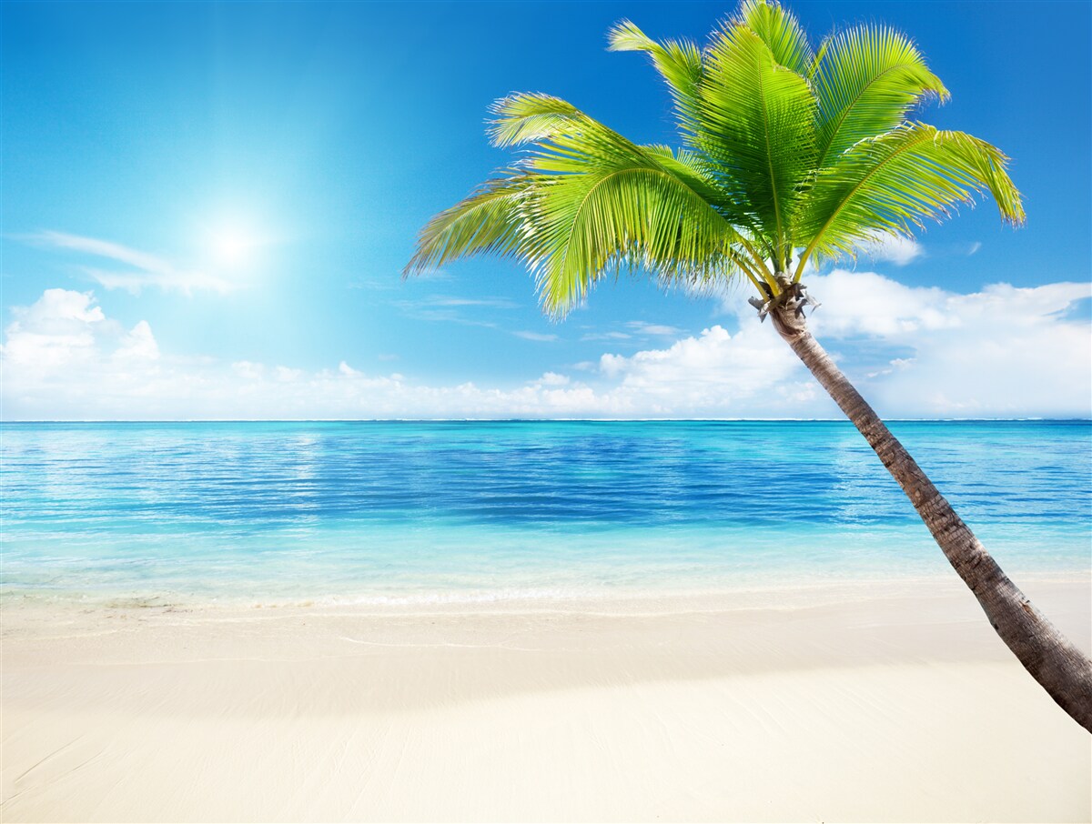 Fototapet zi însorită strălucitoare pe țărm la tropice