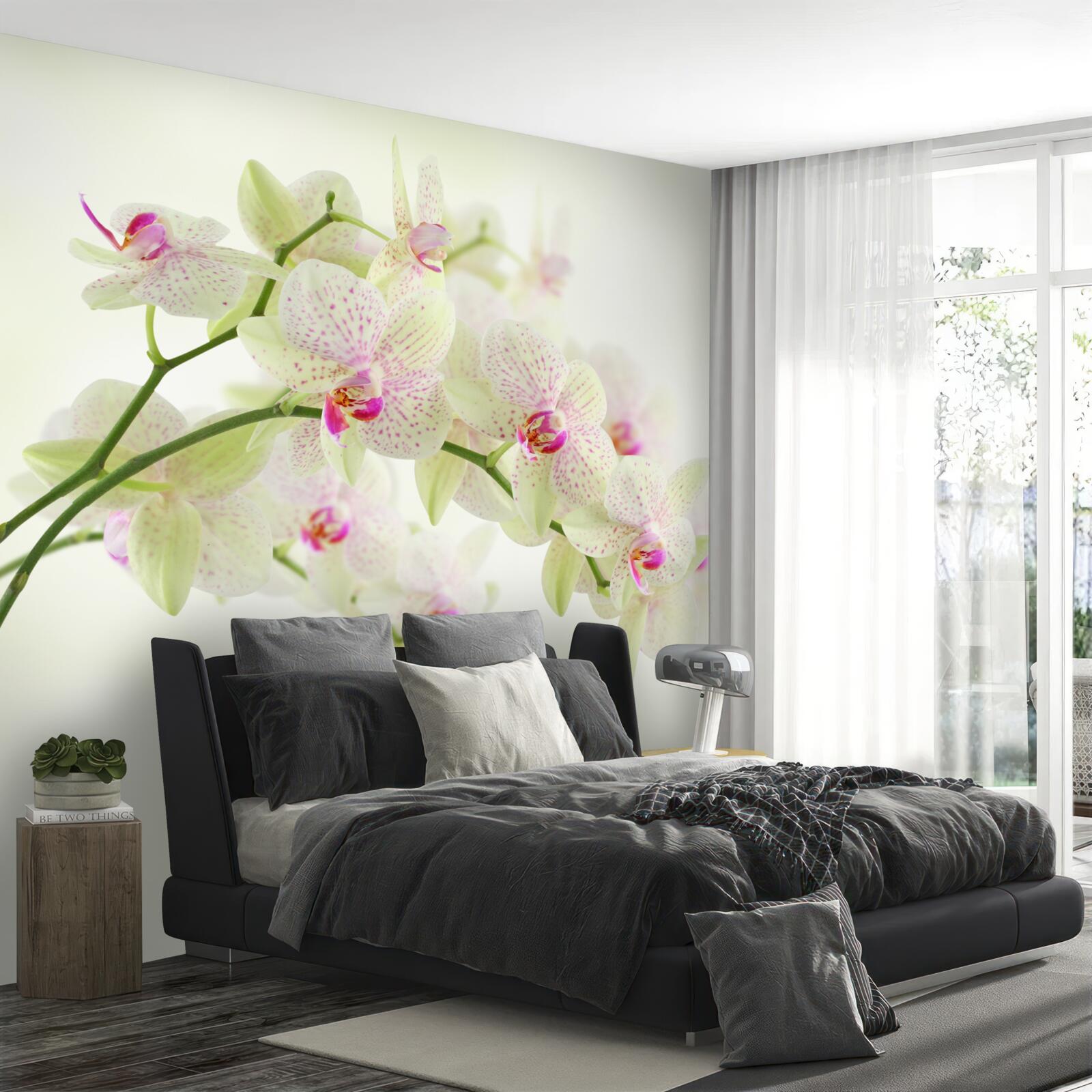 Fototapet ramuri neobișnuit de luxuriante cu muguri de orhidee