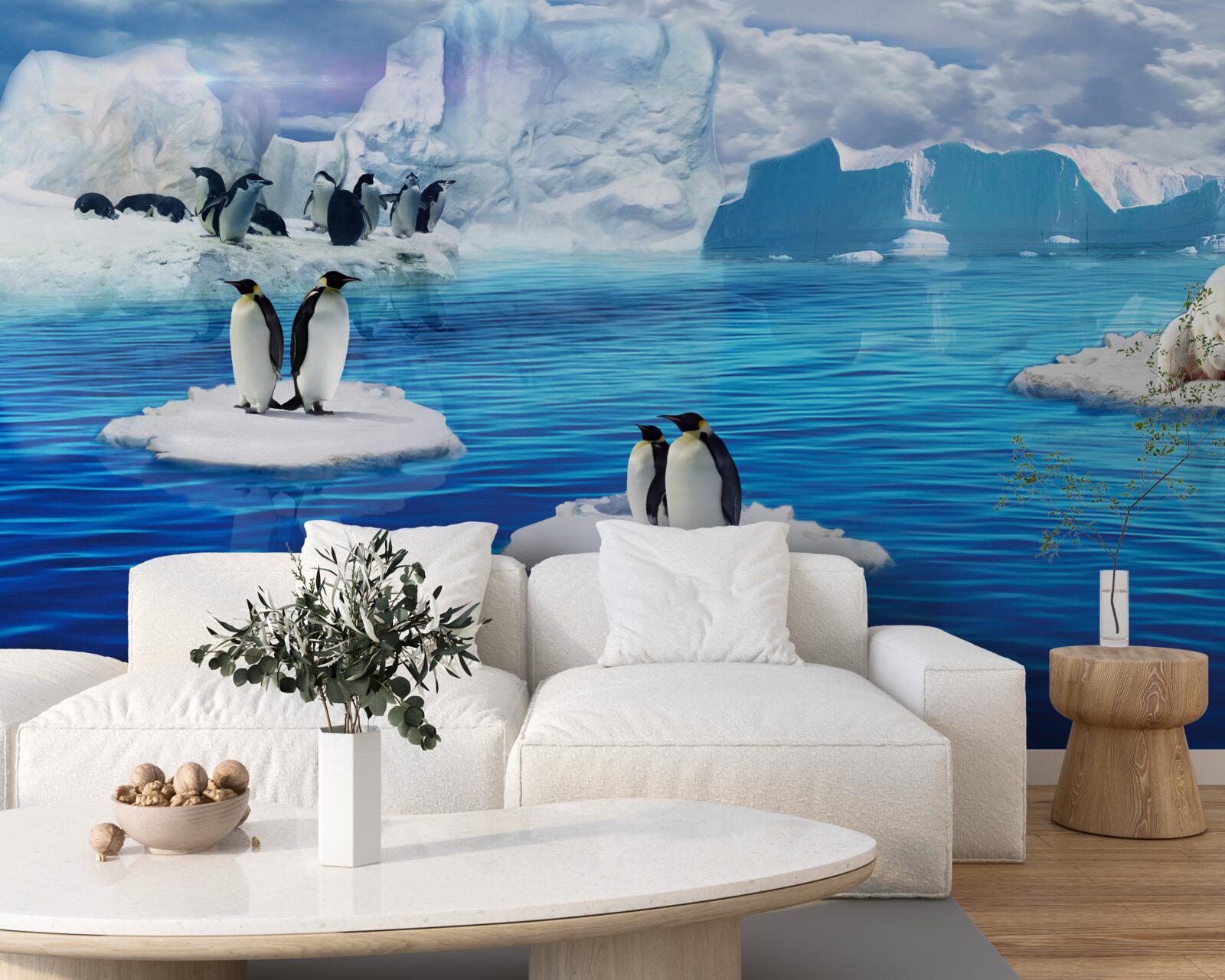 Fototapet familii de pinguini pe platforme de gheață