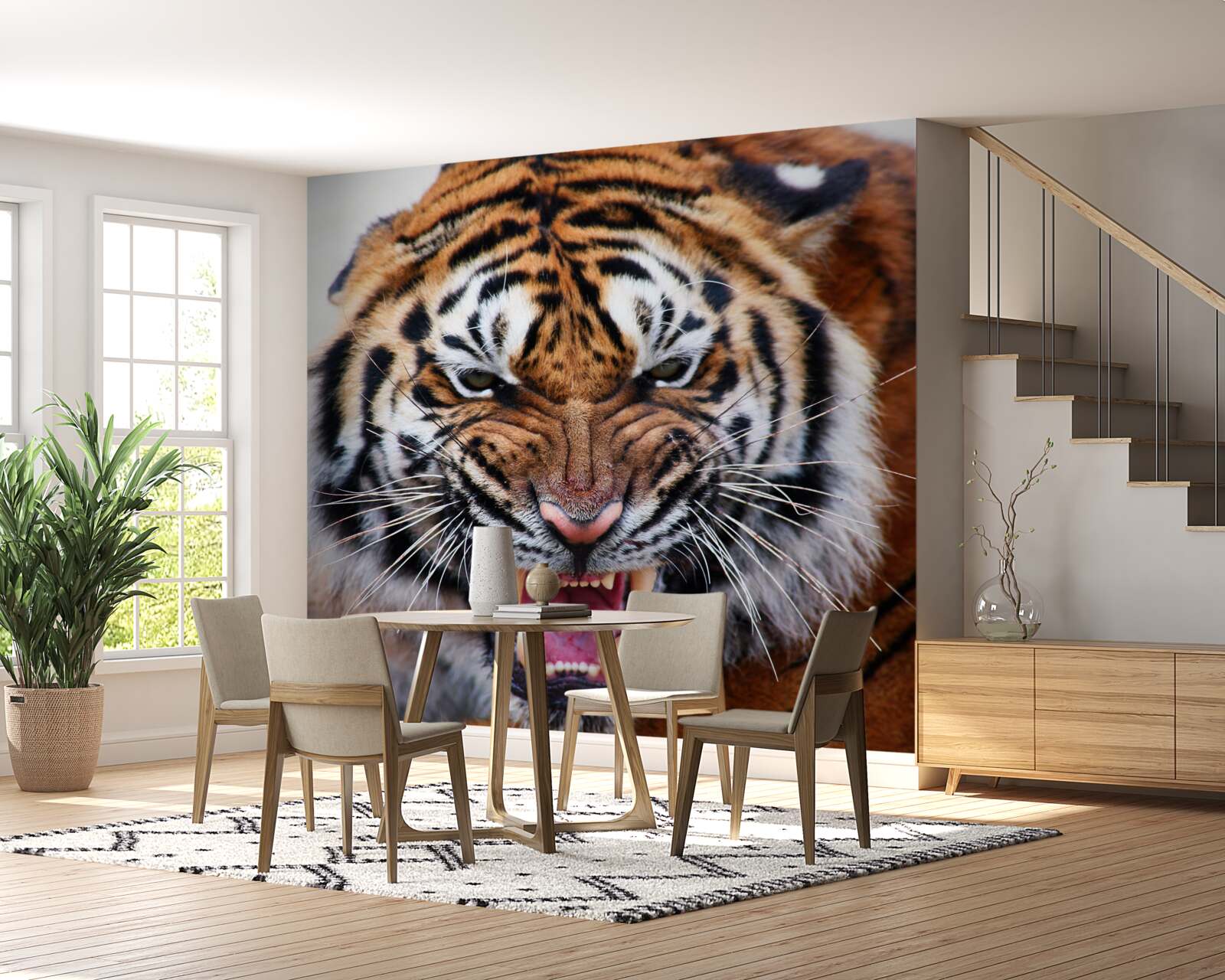 Fototapet tigrul adult furios face un răget