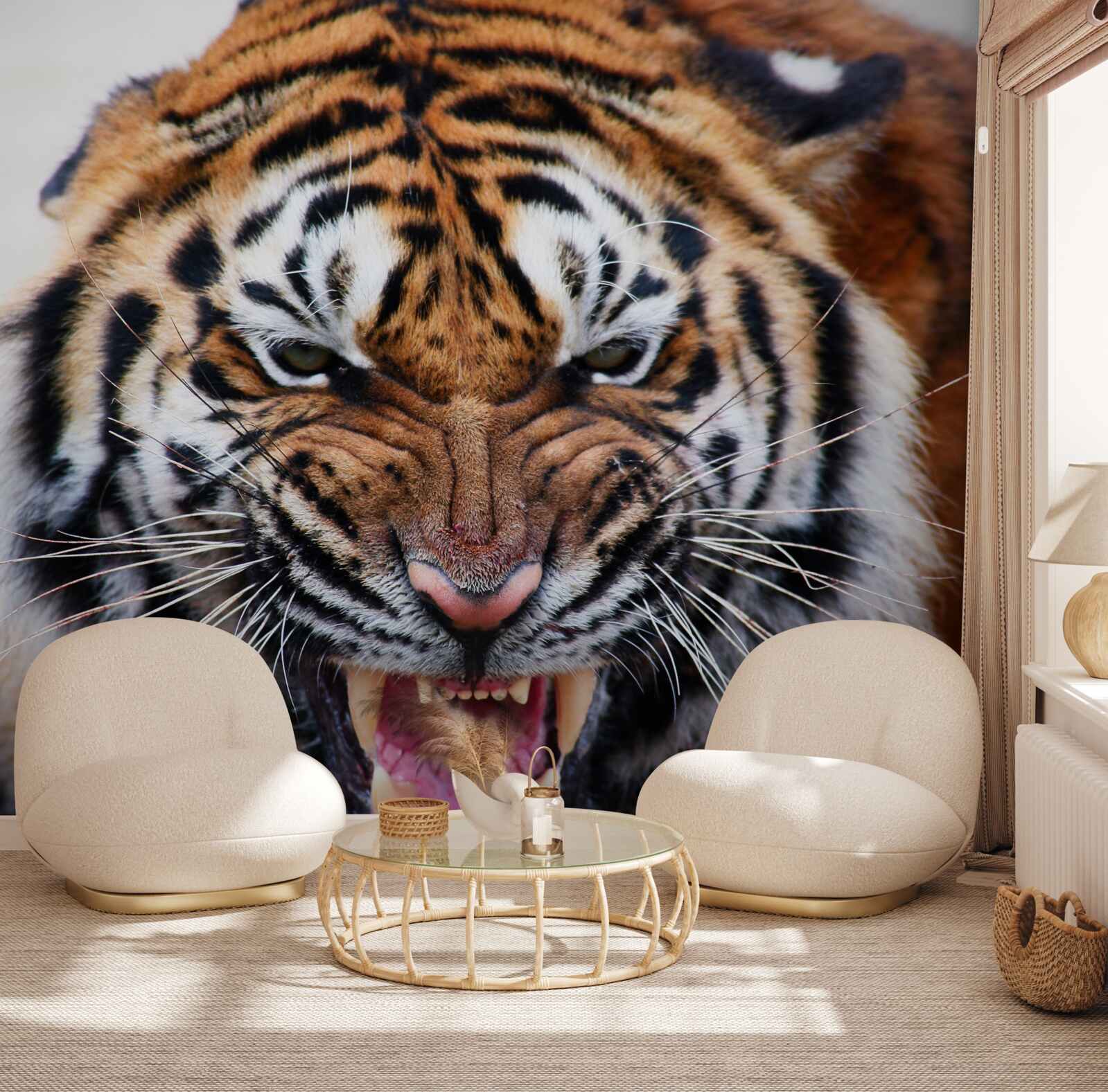 Fototapet tigrul adult furios face un răget