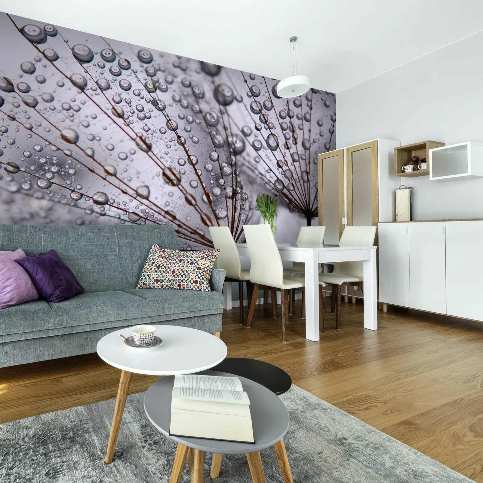 Fototapet picături de rouă lăsate pe florile de păpădie