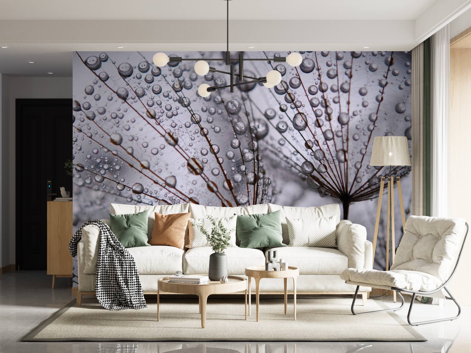 Fototapet picături de rouă lăsate pe florile de păpădie