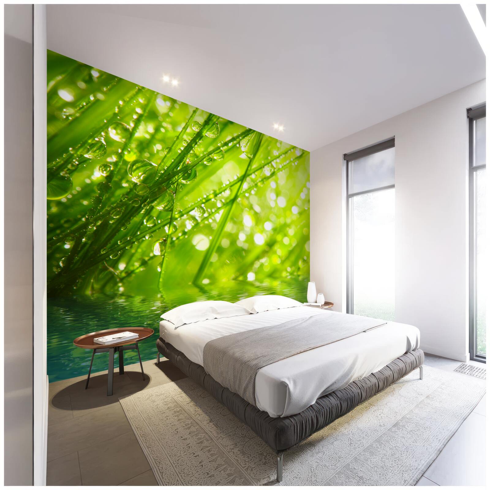 Fototapet picături mari de rouă pe ramuri în apropierea apei