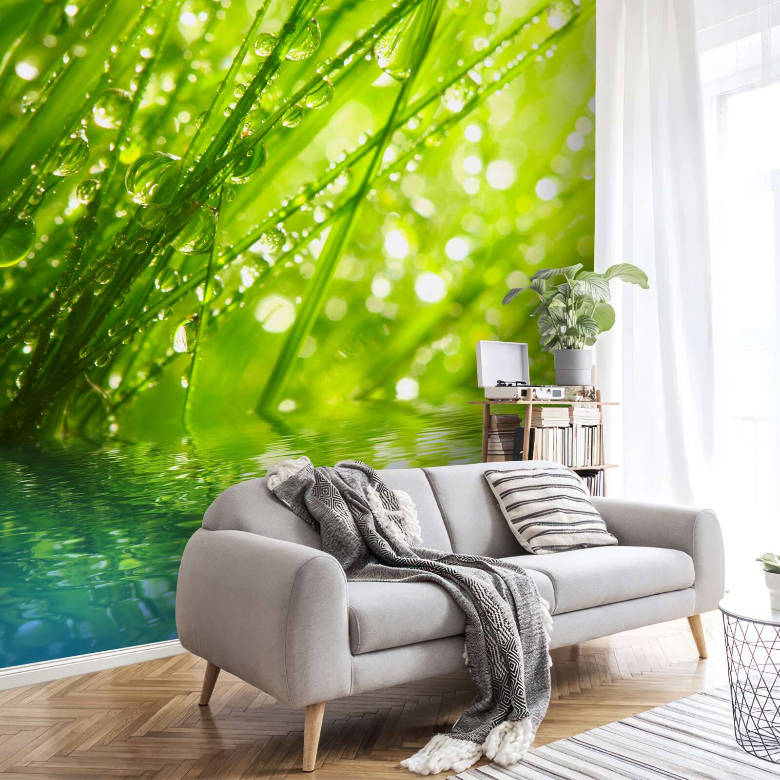 Fototapet picături mari de rouă pe ramuri în apropierea apei