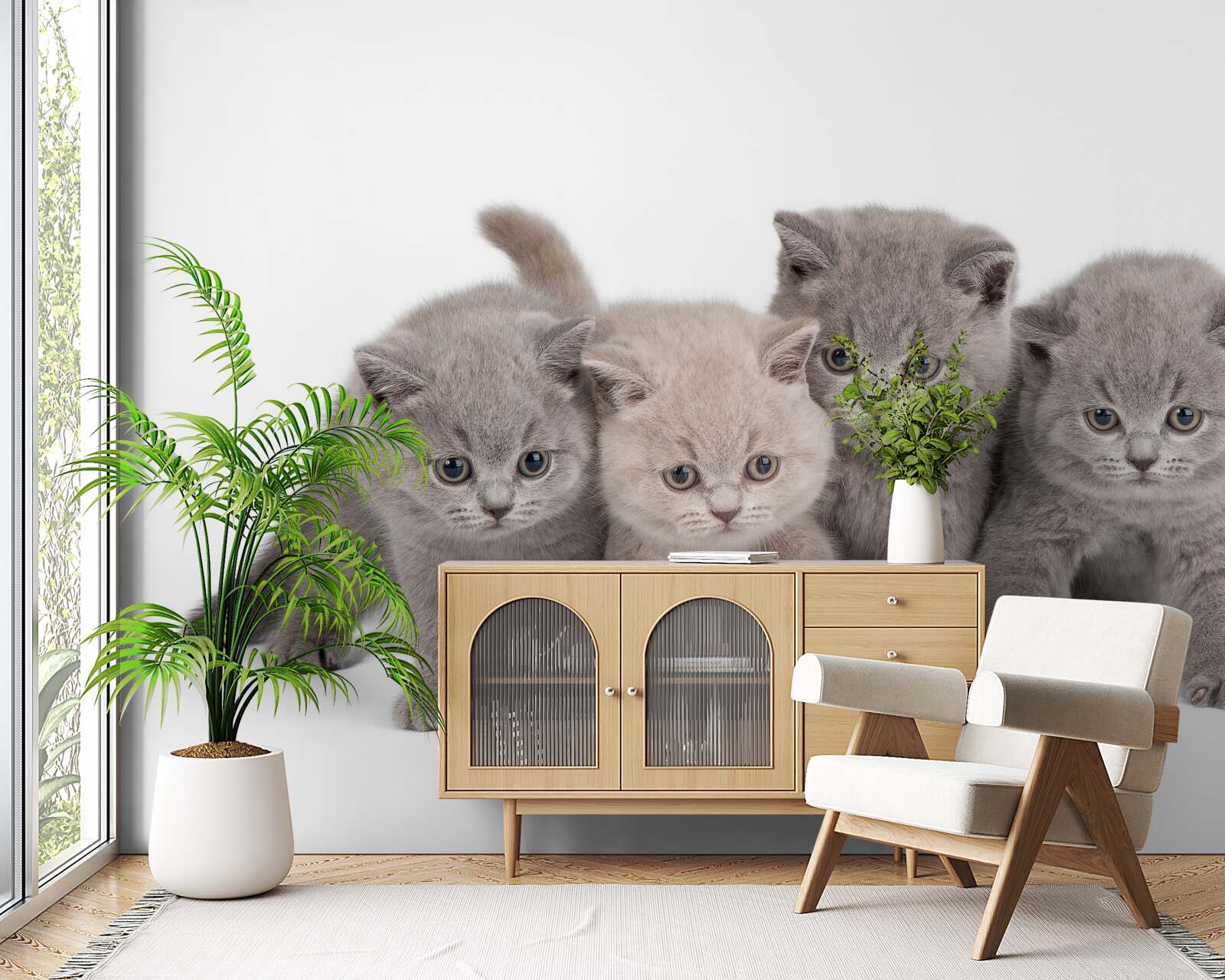 Fototapet patru pisicuțe drăguțe