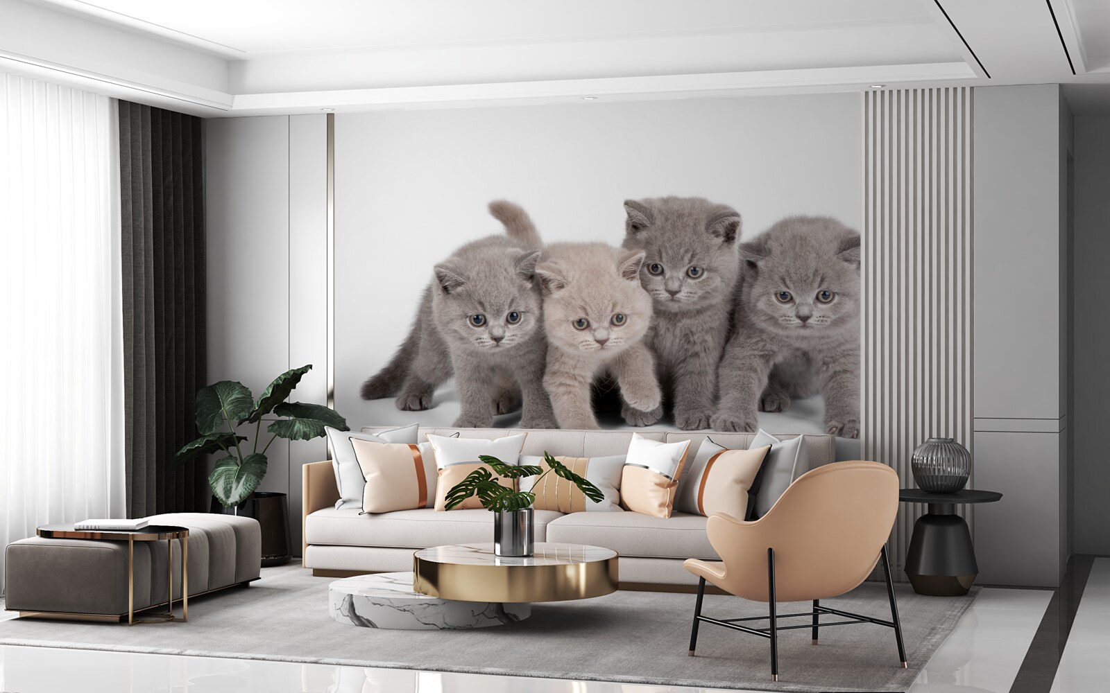 Fototapet patru pisicuțe drăguțe