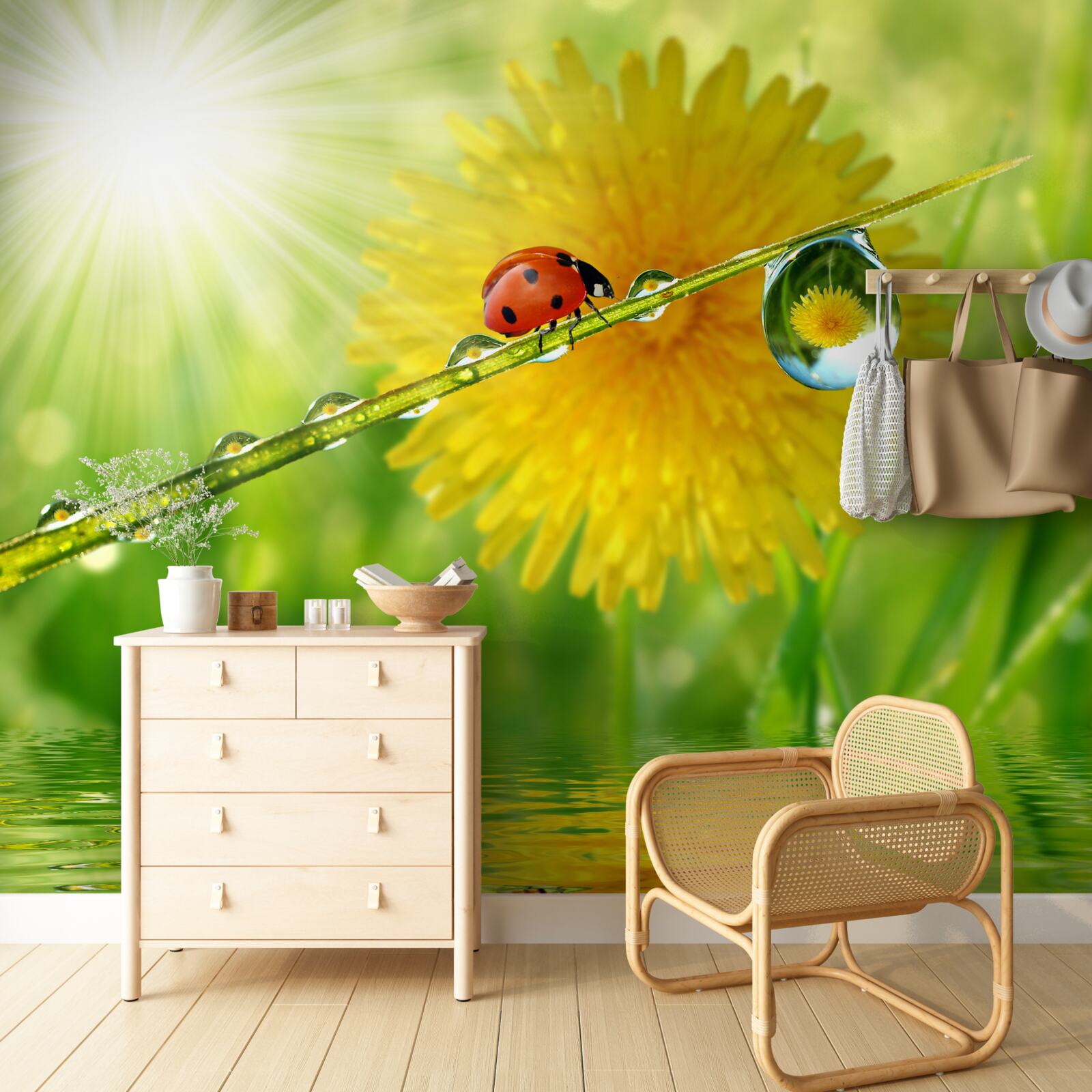 Fototapet păpădie mare în picături de ploaie lângă apă