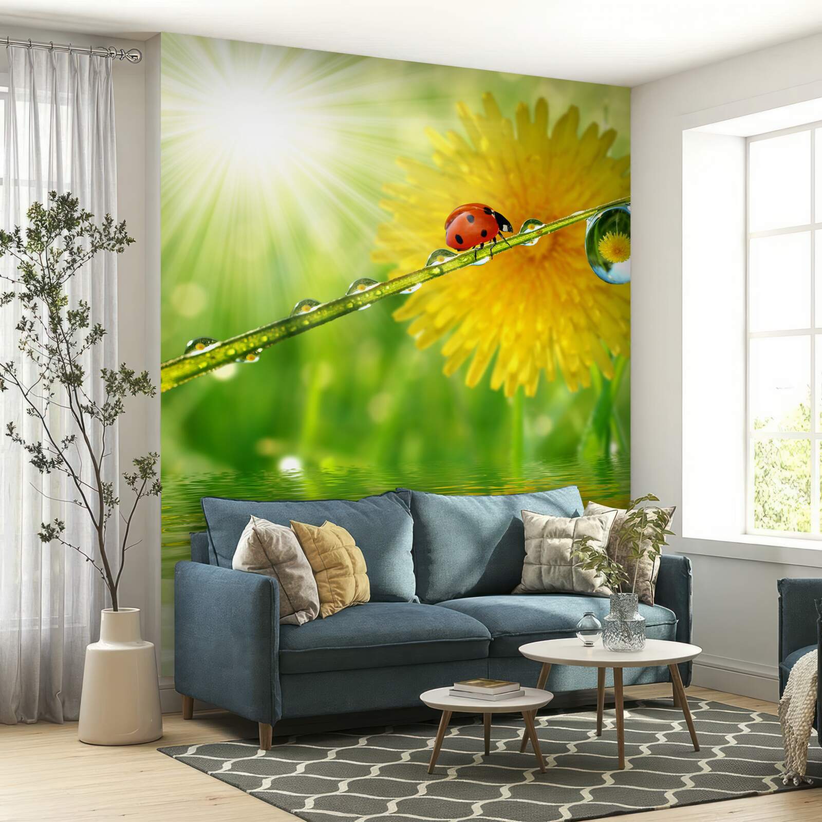 Fototapet păpădie mare în picături de ploaie lângă apă