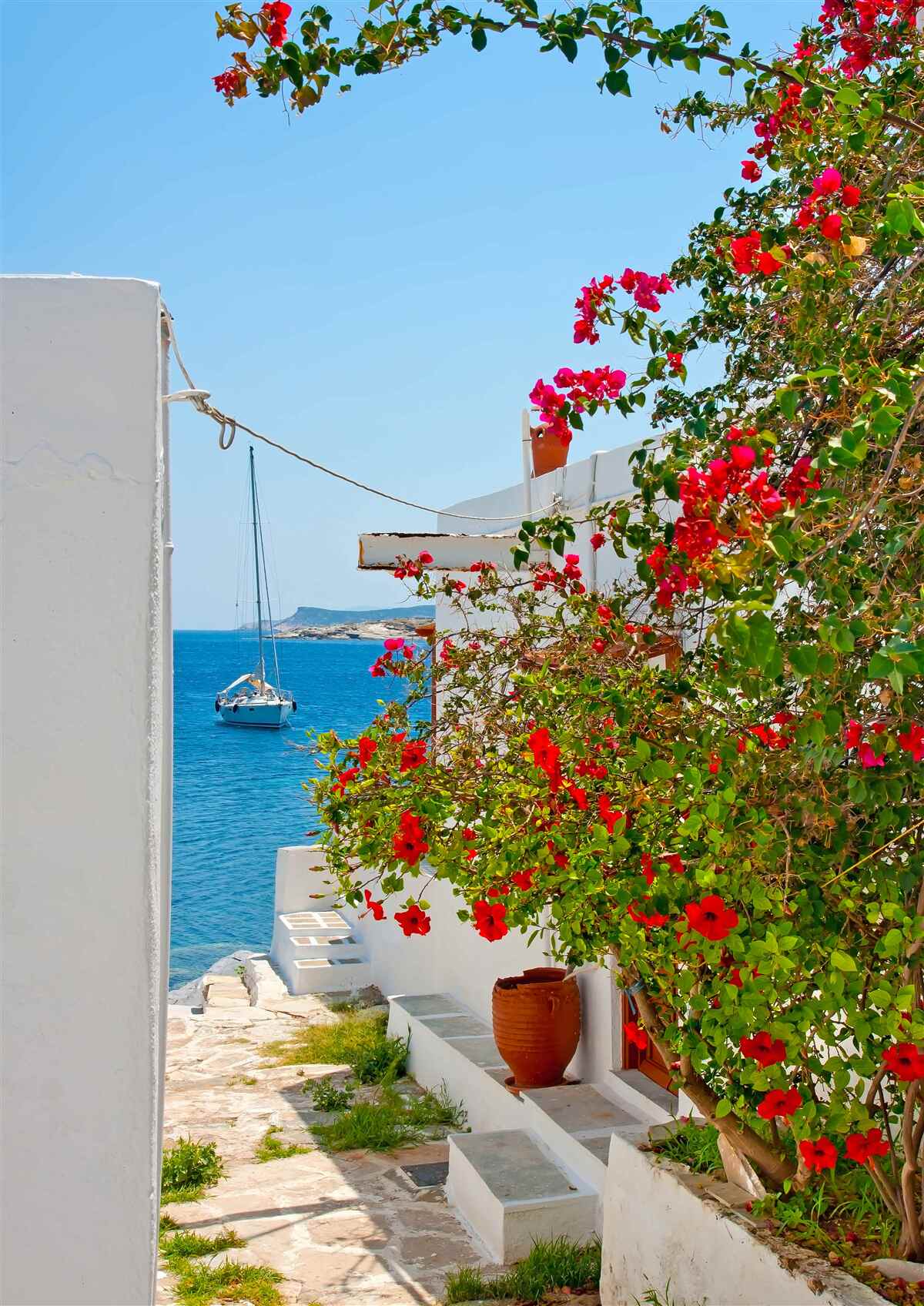 Fototapet culoarea rodiilor roșii strălucește prin pereții caselor albe