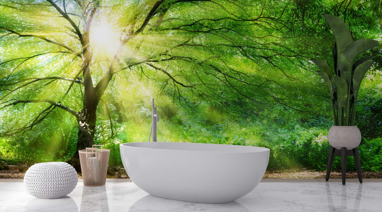 Fototapet raze ușoare de soare pătrund prin coroana luxuriantă a copacilor