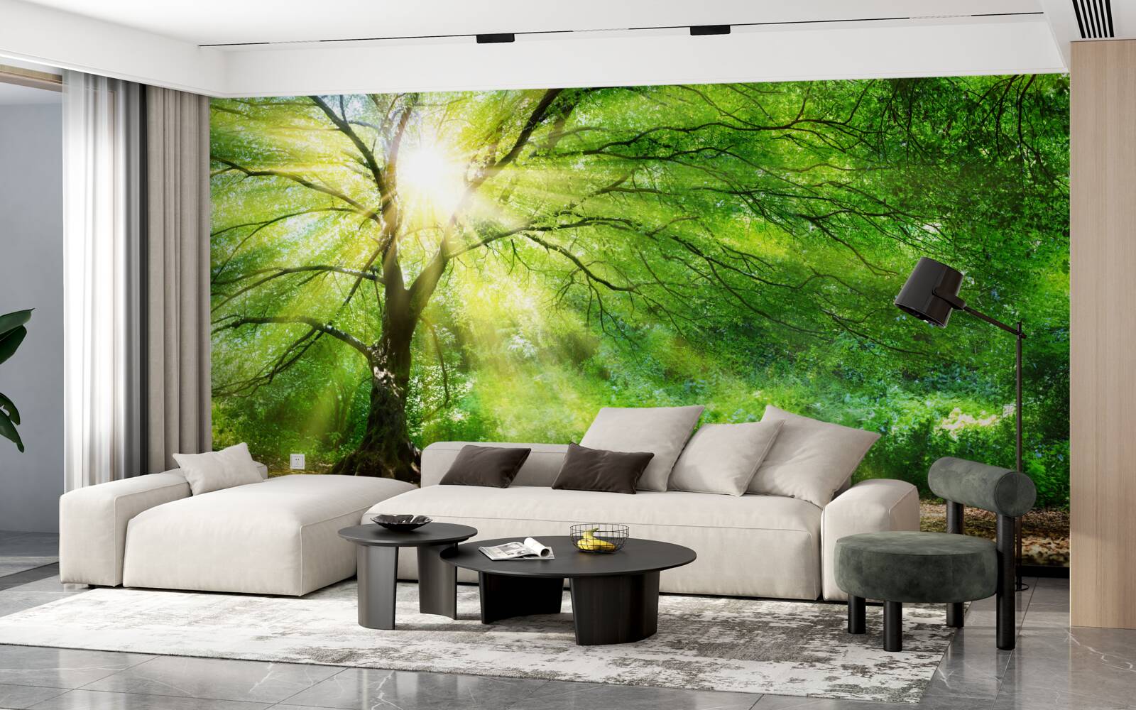 Fototapet raze ușoare de soare pătrund prin coroana luxuriantă a copacilor