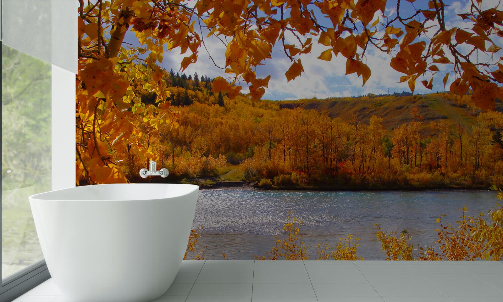 Fototapet toamna de aur în pădurea deasă de lângă râu