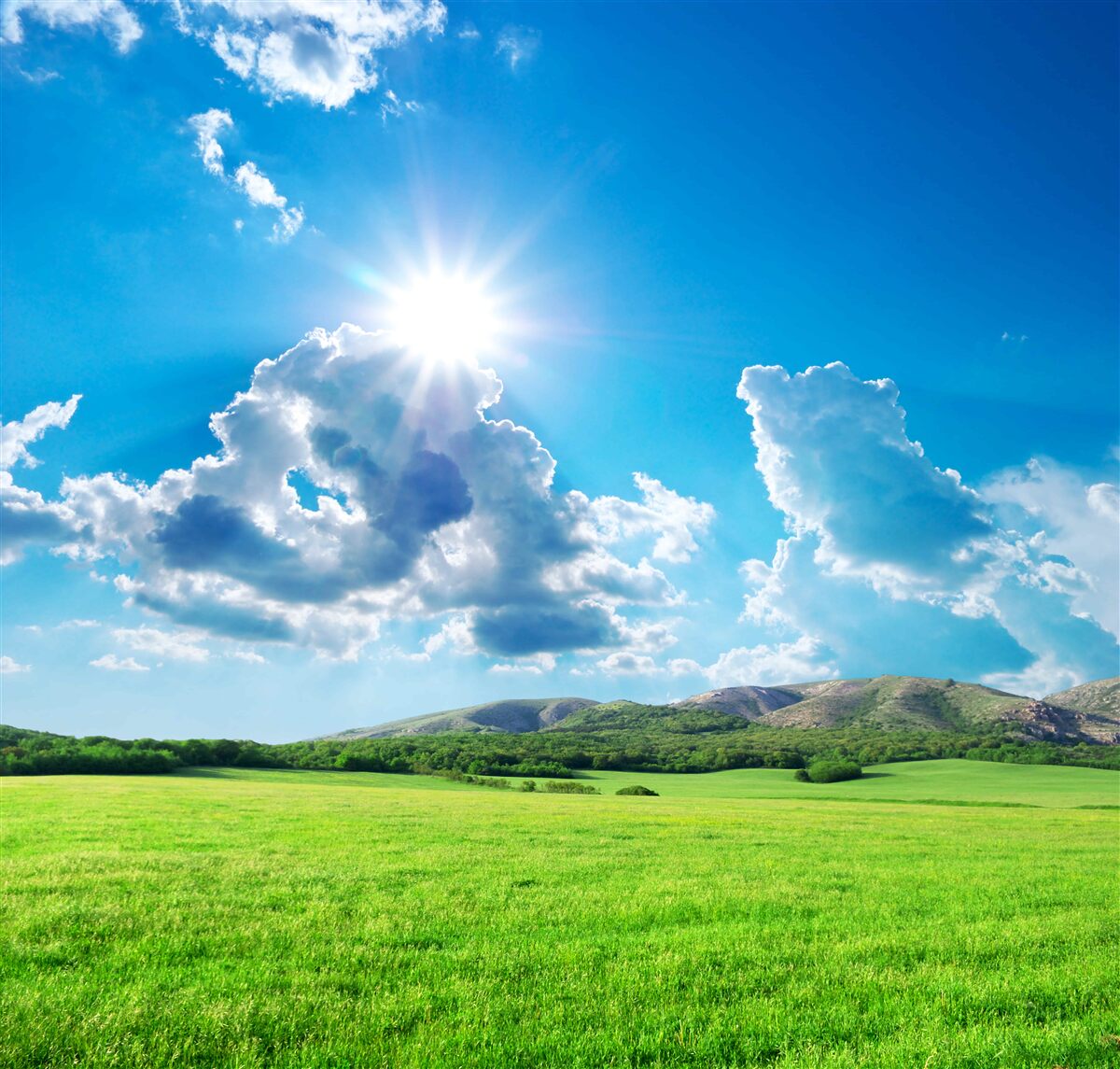 Fototapet o zi strălucitoare de vară pe o pajiște