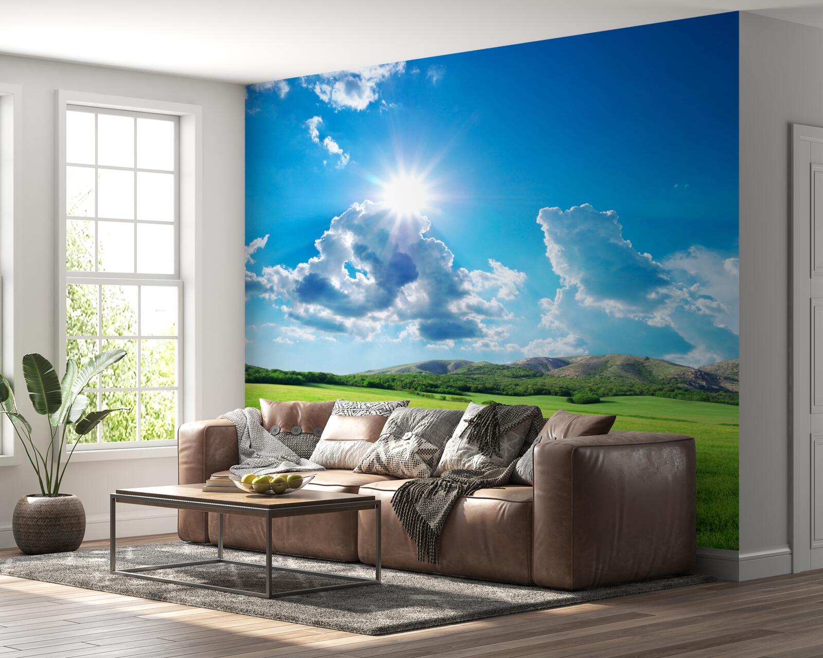 Fototapet o zi strălucitoare de vară pe o pajiște