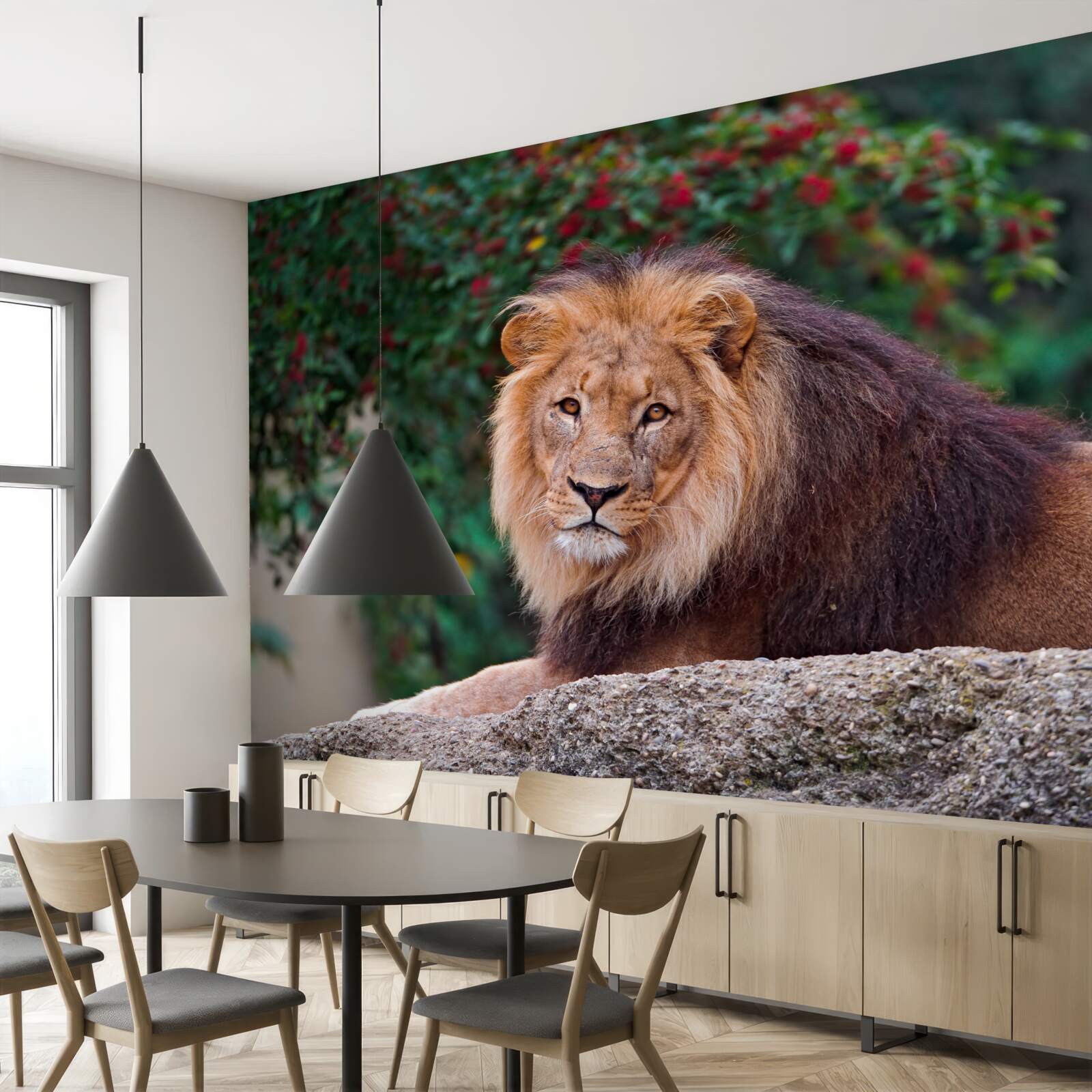 Fototapet un leu adult stă pe o stâncă și așteaptă o leoaică